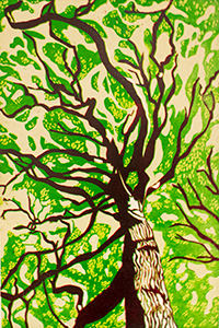 Linogravure Forêt du Rihoult